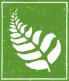 TOF_fern_thumb