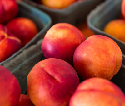 Red and orange nectarines are nestled together in green cartons, creating a vivid, colorful display against a soft-focus background of additional fruits.