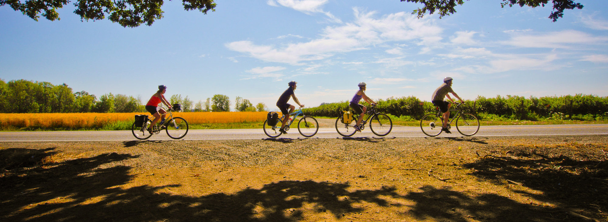 travel willamette valley oregon