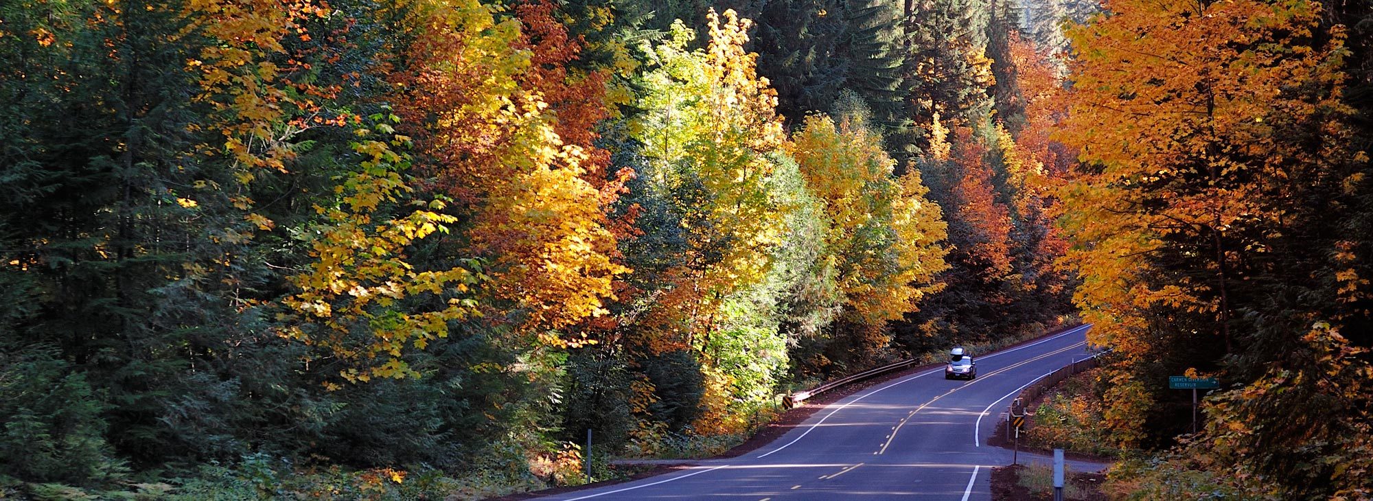 Car driving along Oregon Route 126 with fall foliage as back drop