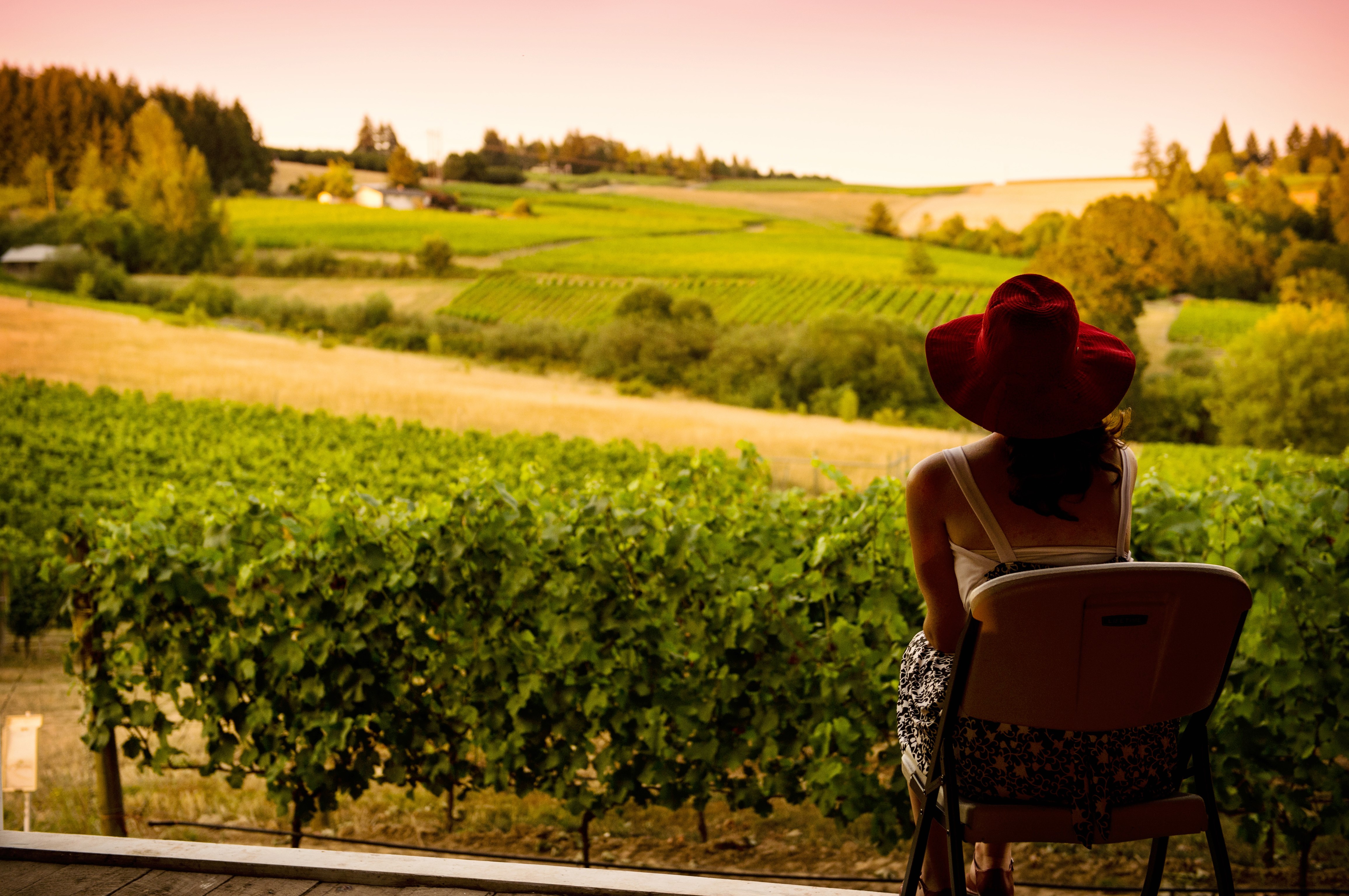 McMinnville_Hersey_Vineyard_credit_Carolyn_Wells_Krame