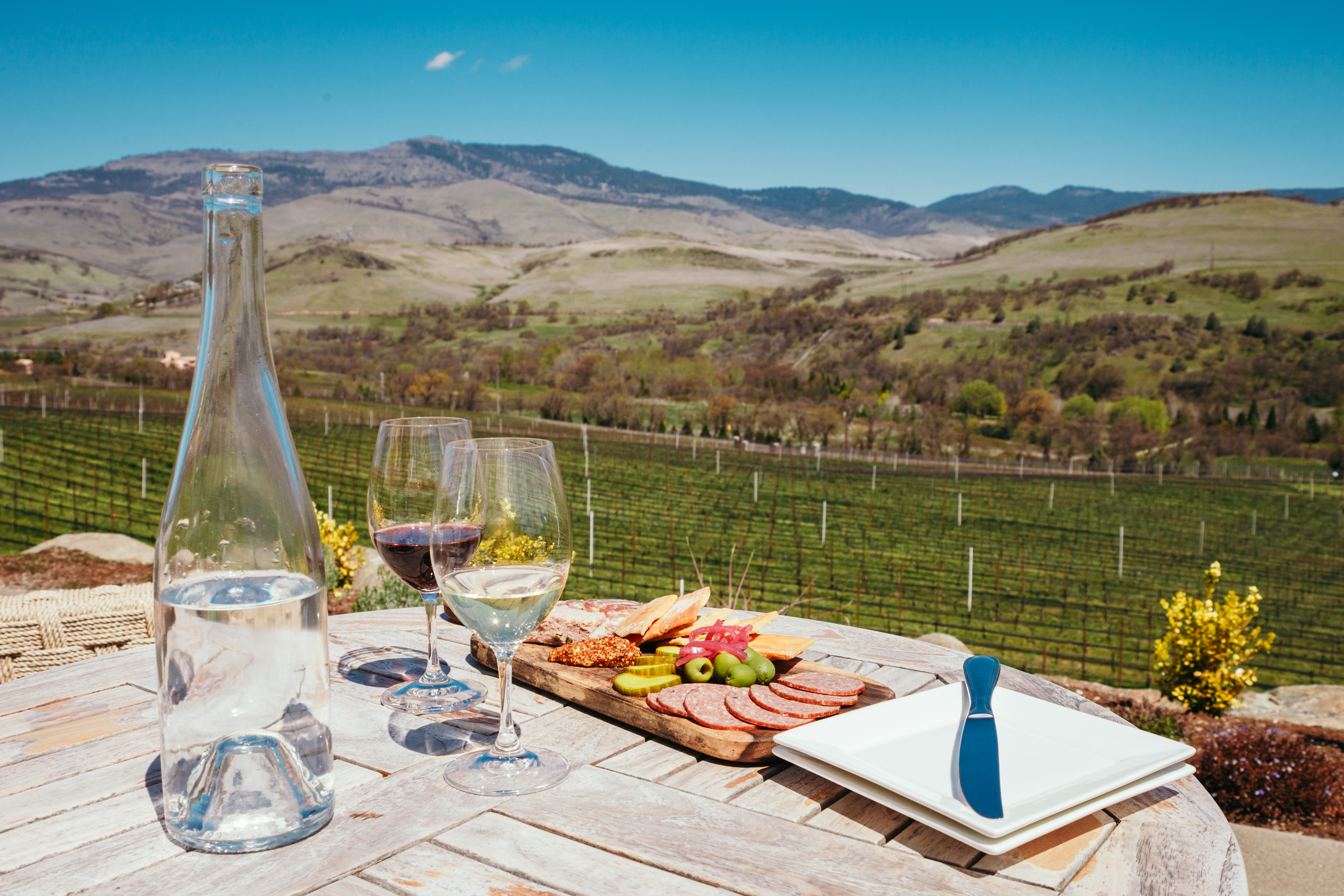 Table set with food and wine with a view of Roberts Vinyard and hills.
