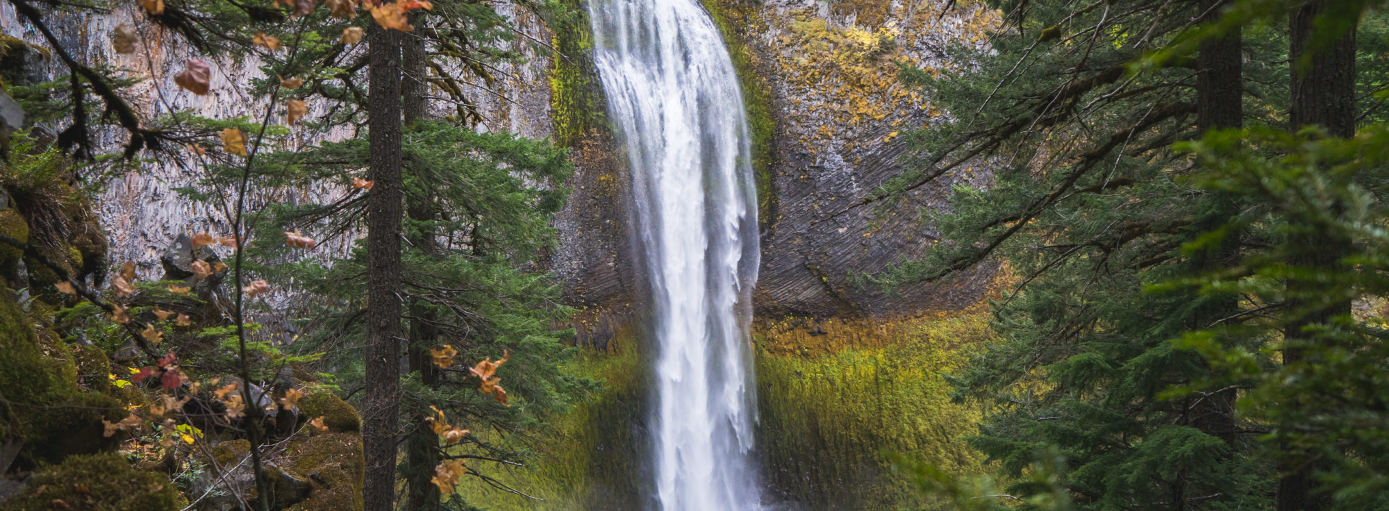 Willamette Falls waterfall