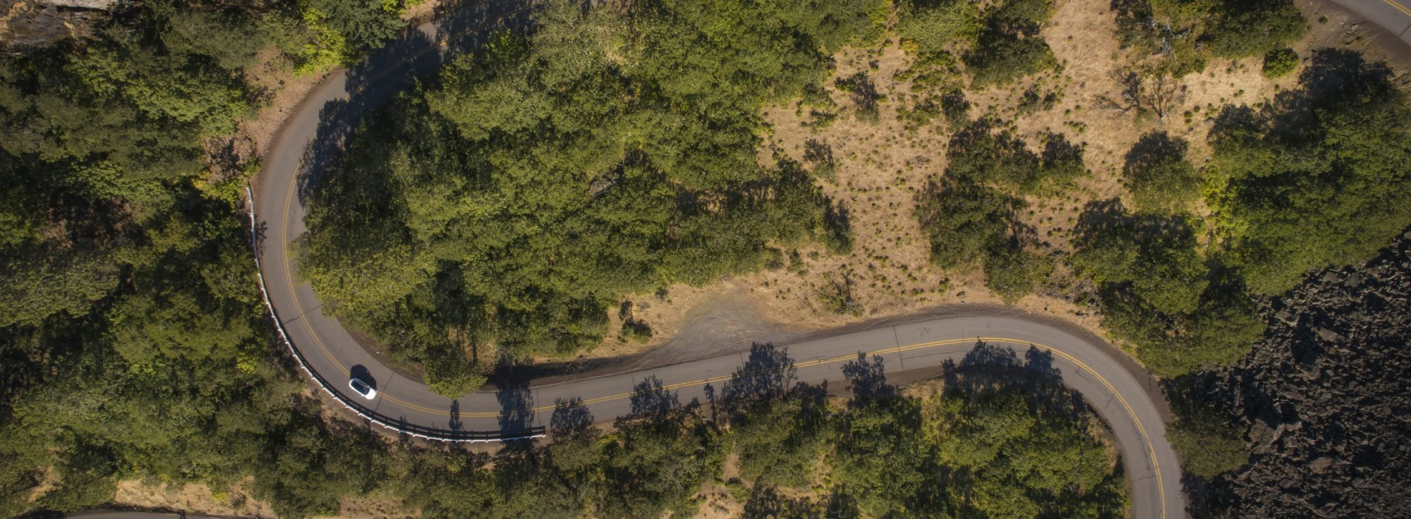 Rowena Crest winding road through trees