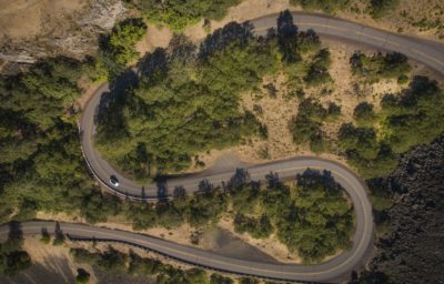 Rowena Crest winding road through trees