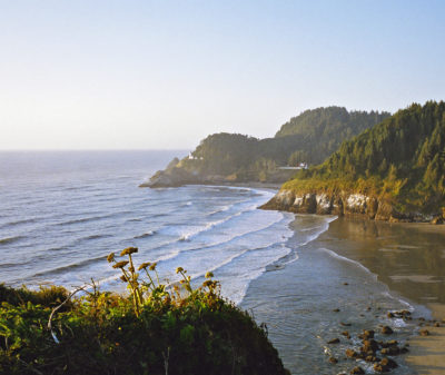 Oregon Coast , view tree covered shore and ocean waves.