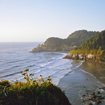 Oregon Coast , view tree covered shore and ocean waves.