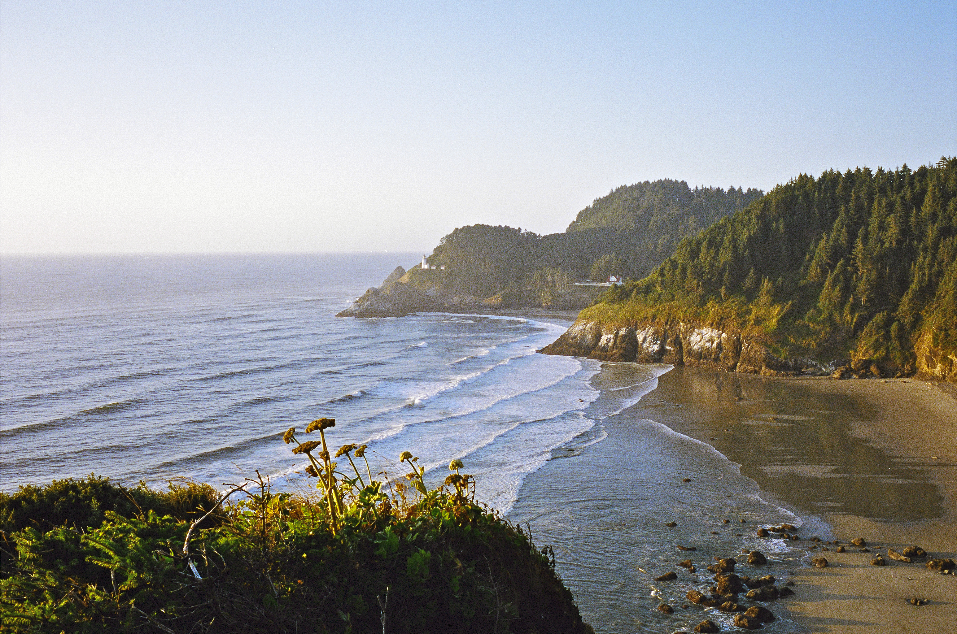 Oregon Coast , view tree covered shore and ocean waves.