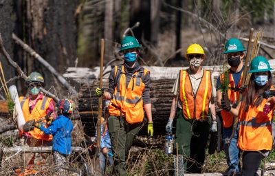 Volunteers plant trees in the Terwilliger burn area as part of the McKenzie Regenerative Travel project