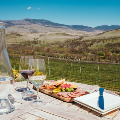 Wine and charcuterie board at outside at vineyard.