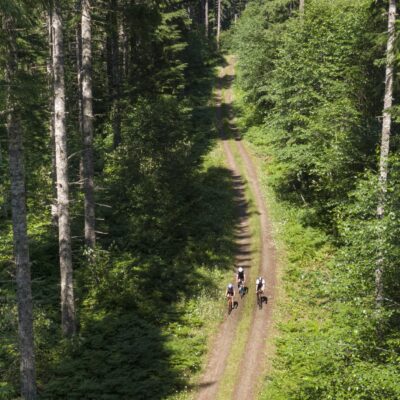 Cyclists riding on a trail surrounded by trees.