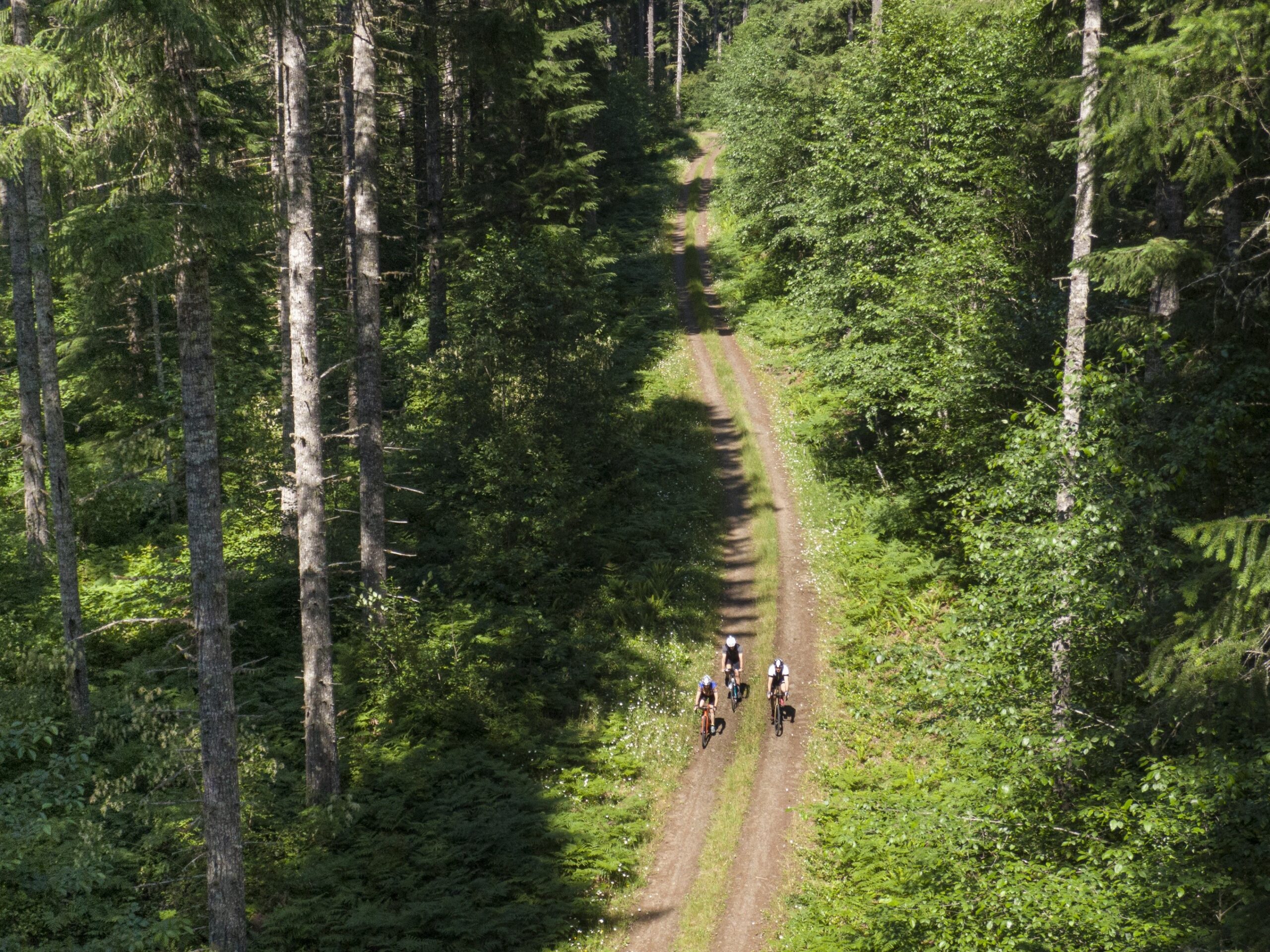 Cyclists riding on a trail surrounded by trees.