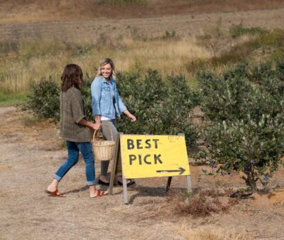 Two people carrying basket for blueberries at u-pick farm