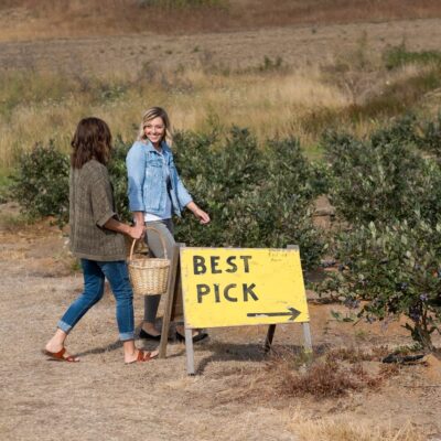 Two people carrying basket for blueberries at u-pick farm