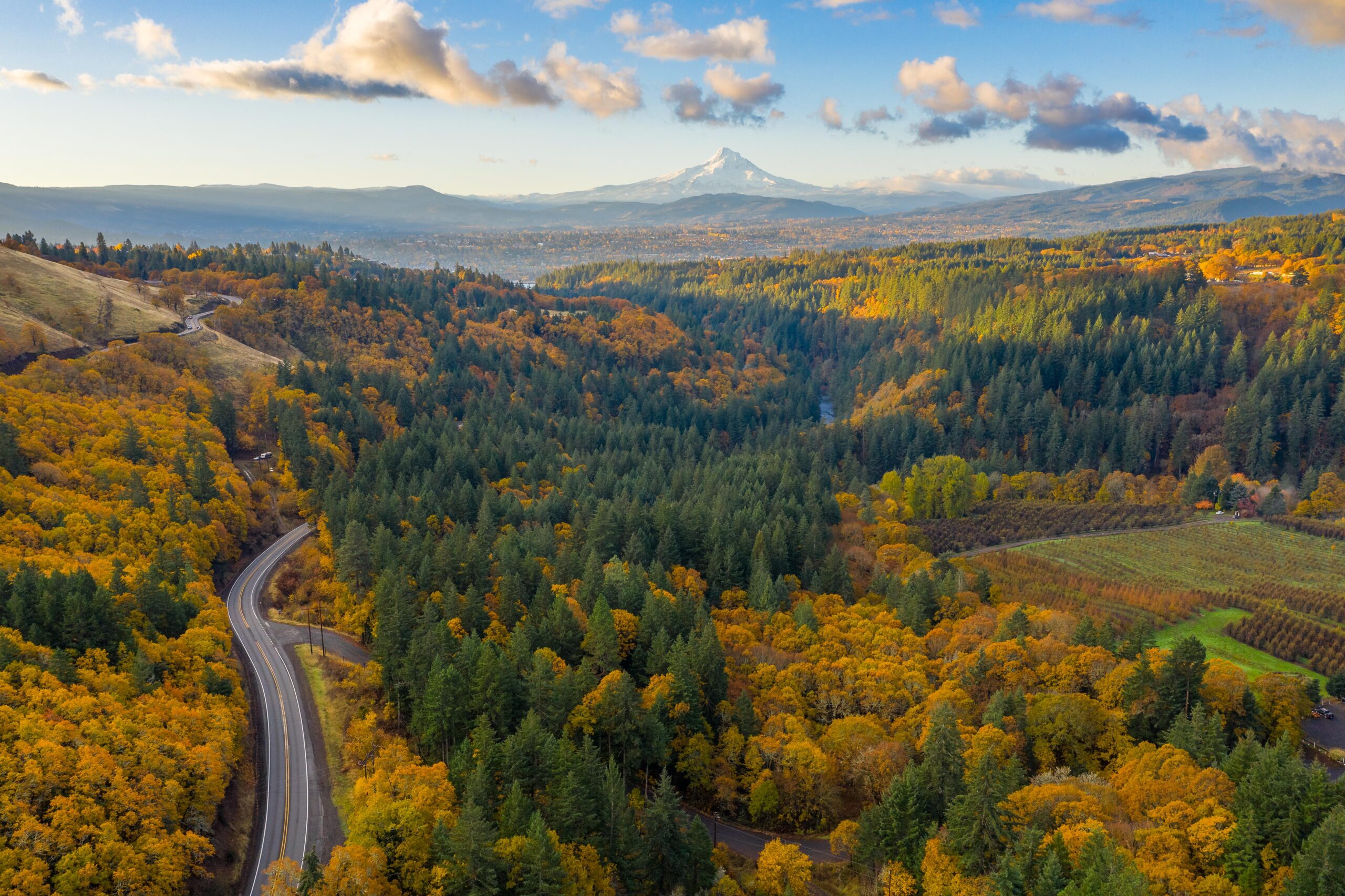 A winding scenic road surrounded by trees with fall foliage.